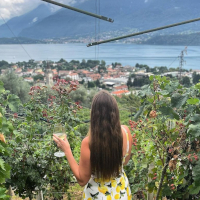 Lake Como wine tasting tour with panoramic views