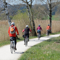 A scenic cycling adventure between Lake Maggiore and Lake Mergozzo