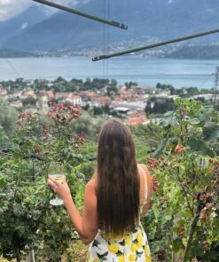Stunning views among vineyards Lake Como
