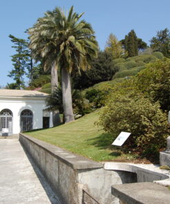 Full day tour Lakeside villages and Bellagio Lake Como