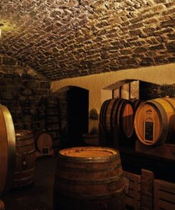 Wine tasting tour Lake Como