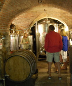 Private wine tasting on Lake Como