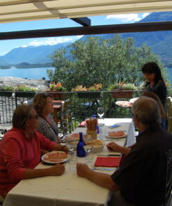 Wine tasting and visit in a winery on Lake Como