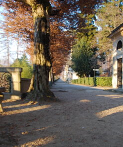 Historic tree-lined path at Sacro Monte di Orta with bench