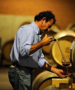 Lake Maggiore for food and wine lovers