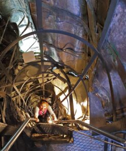 Arona & Lake Maggiore: San Carlone, History and Cheese Tasting