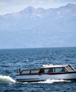 Alternative view of Lake Maggiore private cruise: Villa Taranto botanical garden