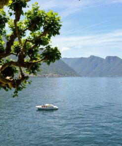 Lake Como private tour villas and gardens
