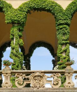 Lake Como private tour villas and gardens