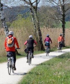 Lake Maggiore bike tour