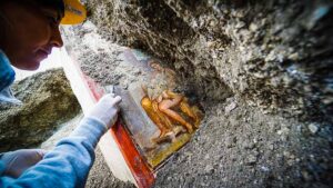 leda and the swan in Pompeii
