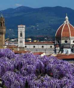 Urban trekking and garden tour in Florence