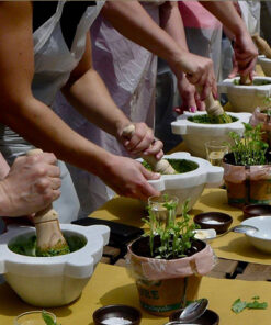 Pesto cooking class at 5 Terre6