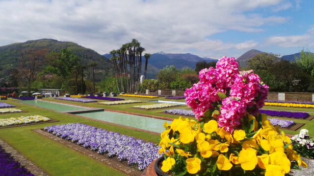 Villa Taranto on Lake Maggiore - tulips