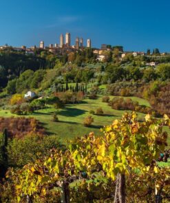 Enchanting romantic dinner in a medieval tower in a small village in Tuscany