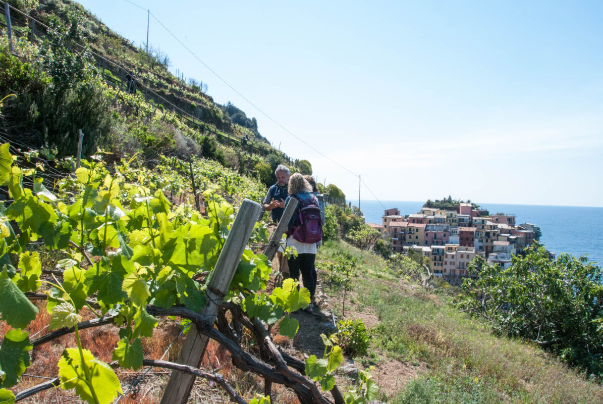 A hiking and wine tour through Cinque Terre