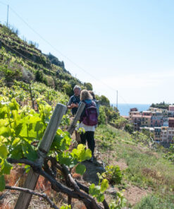 A hiking and wine tour through Cinque Terre