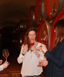 Wine, Oil, and Medieval Wonders on Lake Garda