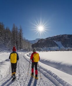 Snowshoeing and tasting in Alpe Devero
