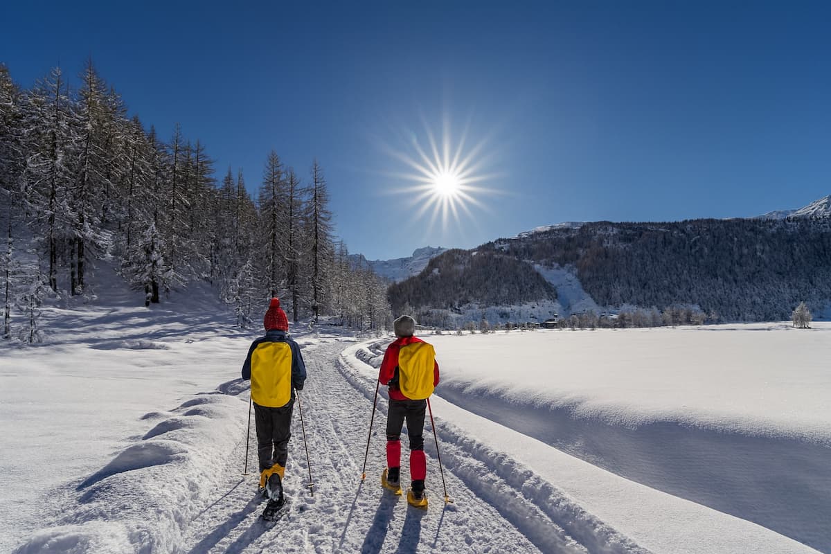 Snowshoeing and tasting in Alpe Devero