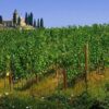 Franciacorta Sparkling Journey: Private Sommelier & Historic Palace Tasting