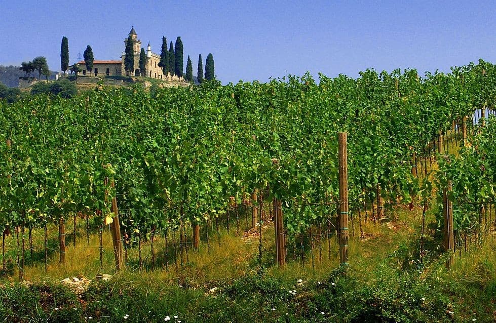 Franciacorta Sparkling Journey: Private Sommelier & Historic Palace Tasting