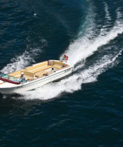 Lake Iseo by Private Boat: Villages, Montisola & Wine Tasting