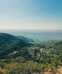 A Journey Through Valpolicella: Scenic Vineyards and Iconic Wine